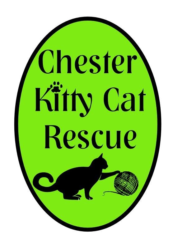 Chester Kitty Cat Rescue
